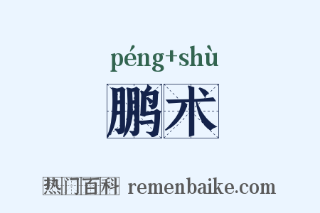 鹏术是什么意思的图片